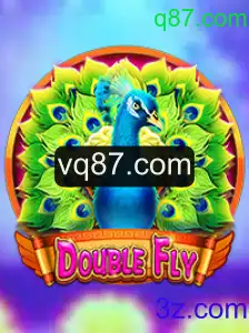 Explorando o Mundo de DoubleFly: Um Mergulho em Sua Jogabilidade e Regras
